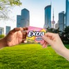 EXTRA Pink Lemonade Gum - Sugar Free Chewing Gum Bulk,