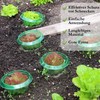 Pack of 10 XL Snail Protection Rings - Natural Snail
