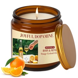 Bubbly Champagne Orange Scented Candles for Home - Elevate Ambiance with 4 oz Natural Soy Wax Jar Candles Gifts for Women Men, Enjoy 25 Hours of Long Burning Summer Delight