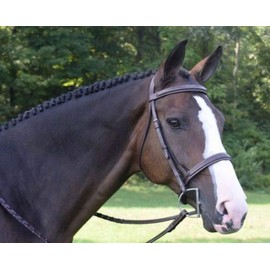 KL SELECT Black Oak Spruce Bridle Pony Size