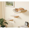 Cat Wall Shelf & Window Perch Combo, Wood Cats Wall