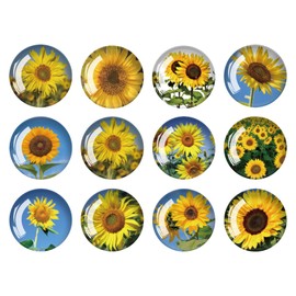 Strong Glass Refrigerator Stickers,12Pcs Magnets for Fridge,Funny Fridge Magnet Shape,Cute Small Tiny Magnet for Kitchen Whiteboard Door Decorative (Sunflower Refrigerator Stickers)