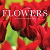 Flowers 2026 Mini Wall Calendar