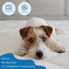 Livessa Quilted Mattress Topper 90 x 200 Waterproof
