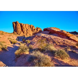 DePhoto 7x5FT Desert Backdrop Reptile Habitat Blue Sky Desert Rocky Bush Natural Scenery Photography Background Aquarium Background Hiking Camping Pictures Home Decor Photo Studio Props