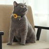 Impoosy 2 Pack Sunflower Cat Collars Breakaway Kitten Adjustable Safety
