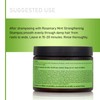 Mielle Rosemary Mint Collection Hair Masque