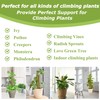 Sukh Moss Totem Pole - Moss Pole for Plants Monstera