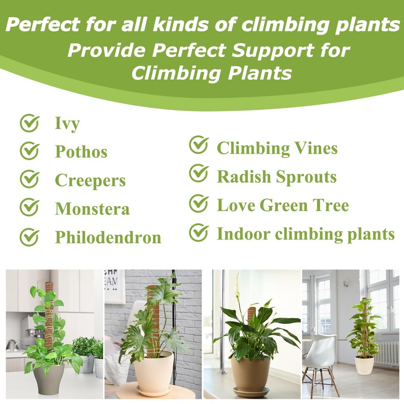 Sukh Moss Totem Pole - Moss Pole for Plants Monstera