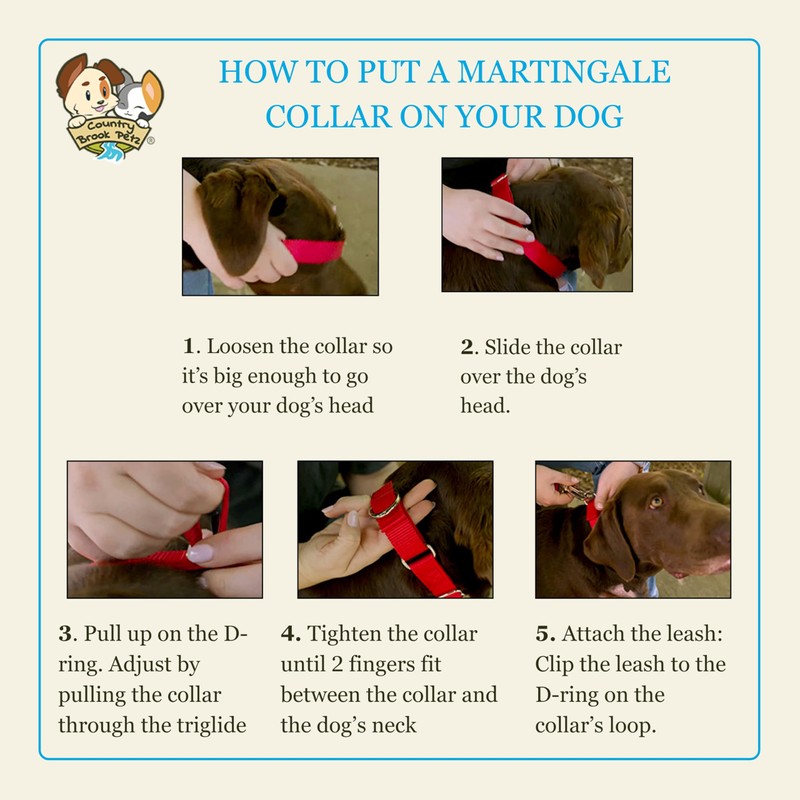 Country Brook Petz Martingale Dog Collar - Heavy-Duty Training Collar