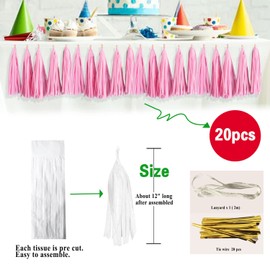 Pink Tassel Garland 20 Pcs, Tissue Paper Tassels Garland Banner for Party Birthday Wedding Decoration Baby Shower Table Decor