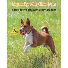 SCHITEC Squeaky Dog Toys for Aggressive Chewers, Tough Rubber Bouncy Balls for Boredom, Durable Pet Chew Toy Ball for Large Medium Breed Dogs (2.8 * 3.7inch)