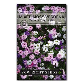 Sow Right Seeds Sow Right Seeds - Mixed Moss Verbena (Verbena tenuisecta) Flower Seeds for Planting - Excellent Ground Cover - Non-GMO Heirloom Seeds - Creeping Perennial - Multicolor Blooms - Attract Pollinators