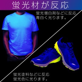 Seiwa F342 Car Supplies Illumination Light, USB Black Light, LED Illumination 2, 3.9 inches (10 cm) x 2 Type, Flexible, USB Powered