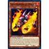 Yu-Gi-Oh! - Salamangreat Mole - SDSB-EN002 - Common - 1st Edition - Structure Deck: Soulburner