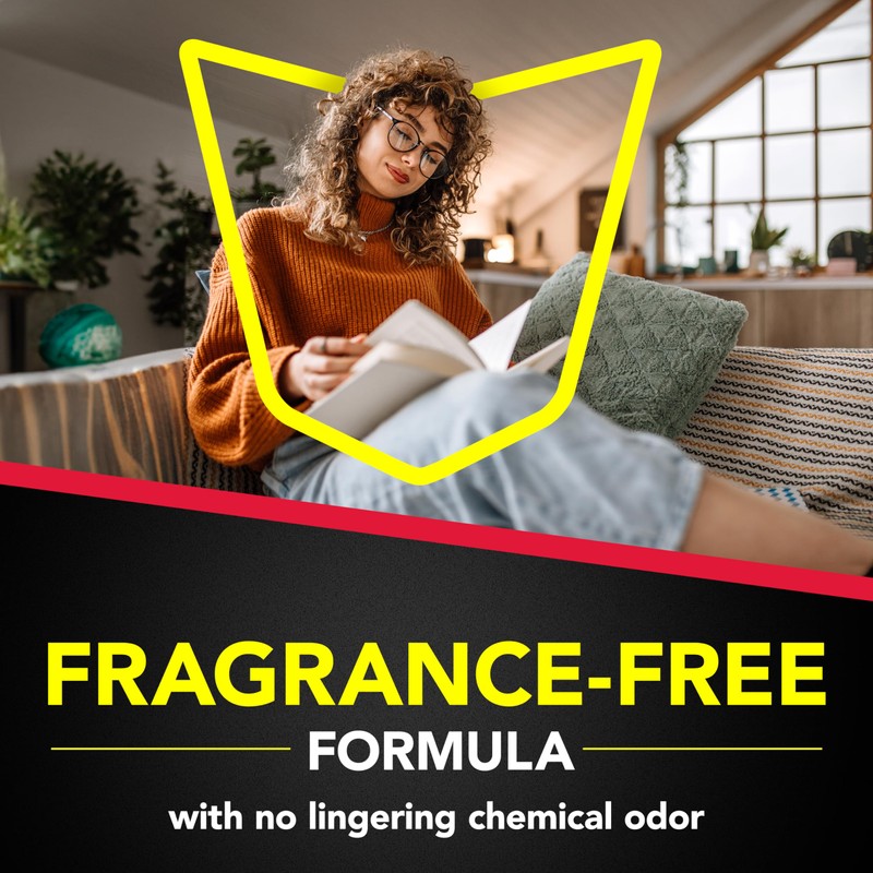 Raid Ant & Roach Killer 26, Fragrance Free Bug Killer