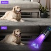 DARKDAWN UV Flashlight 395nm Black Light Mini USB Rechargeable Ultraviolet