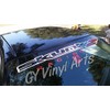 Skunk2 Windshield Banners Windshield Decals Cars Stickers Graphics JDM