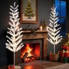 Lightshare 6FT Feather Lighted Tree Set of 2, 244L Warm