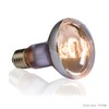 GEX EXOTERRA Swamp Glow Splash Proof Lamp 50W for Aquatic