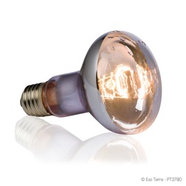 GEX EXOTERRA Swamp Glow Splash Proof Lamp 50W for Aquatic Animals and High Humidity Terrariums
