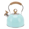 2.5L Whistling Tea Kettle with Handle Stainless Steel Portable Stovetop
