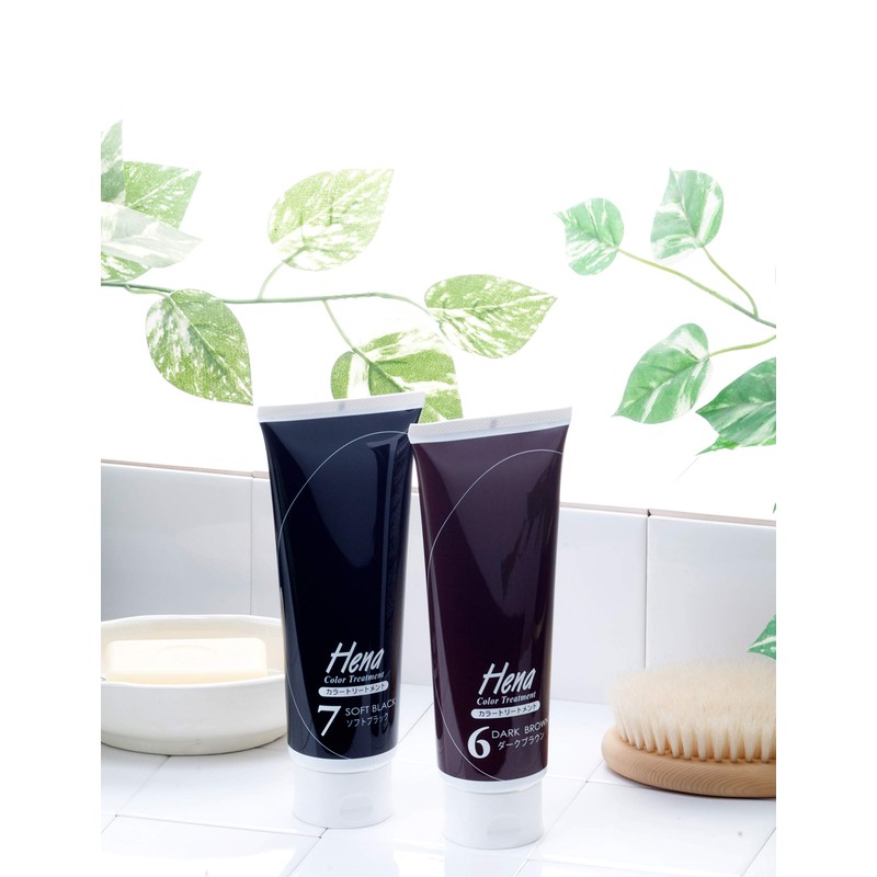 テンスター ヘナカラートリートメント ソフトブラック 250g