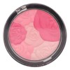 Sedell Multi Blush Powder-01, Multicolor, 8 g