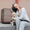 PenCapys Fold & Carry 1-Door Folding Dog Crate (Med: 30-in