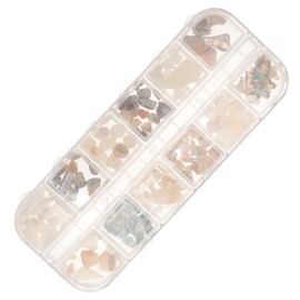 BIUDECO Nail Decoration Nail Decals Nail Art Shell 1 Box Nail Art Sequins Accessories Japanese-style Decorations 3d Shell Pieces Nail Charms