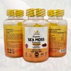 NooraVita Organic Sea Moss Gummies, 1420mg with Bladderwrack and Burdock