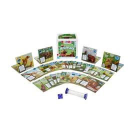 BrainBox Animals Card Game - Memory & Observation, 55 Detailed Scene Cards, Family-Friendly Trivia for Kids & Adults, Ages 8+, 1+ Players, 10 Min Playtime, Made by Green Board Games
