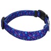 Country Brook Petz - Deluxe Dog Collar - for Durability,
