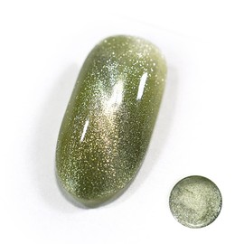 Magnet Nail Gel Total 12 Colors Approx. 0.2 oz (5 g) Included Color Gel Nail Gel UV / LED Compatible Magnet Gel Color Gel Cat Eye Nail Gel Art Gel Gel Gel Nail Supplies Nail Color Gel Nail Gel Nail