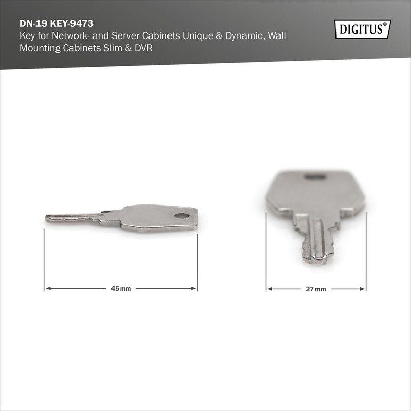 DIGITUS Professional DN-19 KEY-9473 Key, Silver
