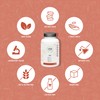 CYB Zinc - 25mg Pure, High Dose Zinc - Vegan