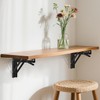 AINVLPRO Folding Shelf Brackets Heavy Duty Stainless Steel – Wall