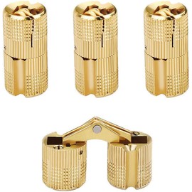 4 Pcs Hidden Brass Barrel Hinges, Concealed Box Invisible Furniture Hinges 180 Degree Opening Angle for DIY Jewelry Box Hand Craft (Gold, 10mm)