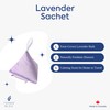 Terre Bleu Lavender Pyramid Sachet, 25g (3)