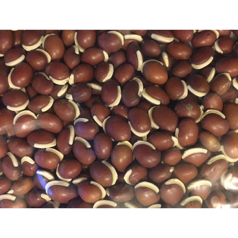 White 15+ SHIROHANA FUJIMAME Japanese White Hyacinth Bean Seeds Lablab