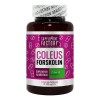 Forskolina Supplement Factory 60 Cápsulas Regular Metabolismo