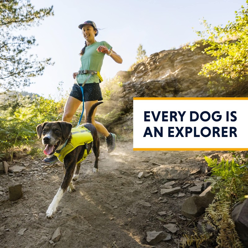 Ruffwear, Trail Runner Running Vest, with Hydration Bladder, Blue Pool,