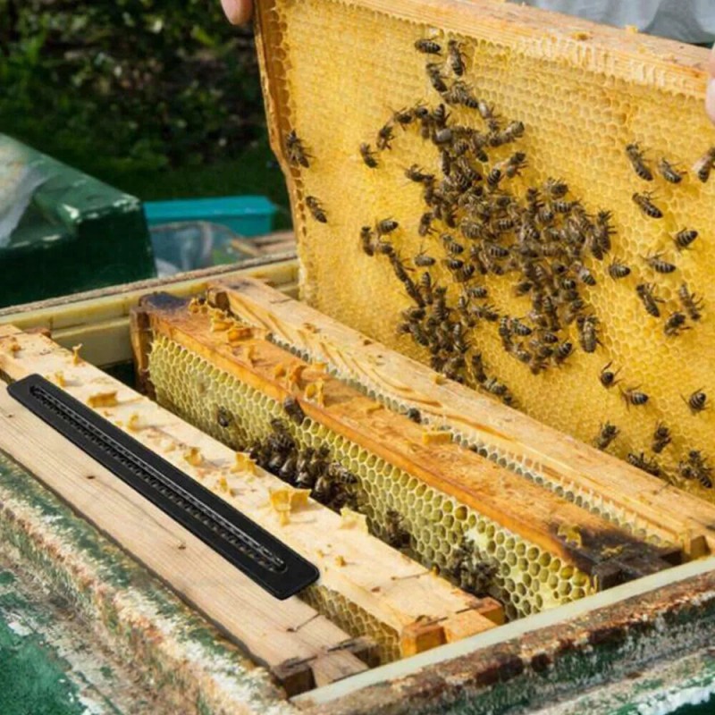 Unbranded 20pcs Plastic Small Bee Hive Beetle Blaster BeeHive Beetle