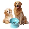 ONTUBE Ceramic Raised Cat Dishes or Small Dog Bowl, Pet