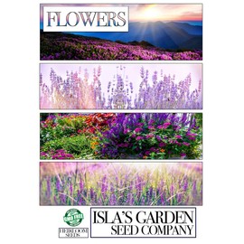 Clarkia Elegant Double Light Salmon Flower Seeds, 1000 Heirloom Seeds Per Packet, Non GMO Seeds, Clarkia Unguiculata