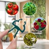 RAFIYU Pack of 120 Plant Clips, Plant Holders for Trellis