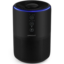 AMEGAT Air Purifiers for Home Large Room up to 1274-ft², Pet Hair Allergy, HEPA 3-in-1 air purifier, Low Power High Torque Motor, Sleep Mode, Removes Smoke, and Odor Pollutants. Airfresh-300（Black）