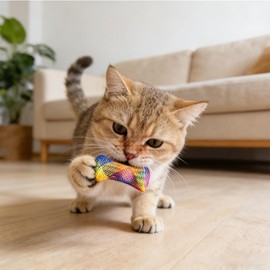 Tsangbaby 60 Pcs Random Cat Spring Kitten Tubes Interactive Chinese Finger Trap Plastic Coil for Pet Hunt Scarch Tubes for Indoor Cats