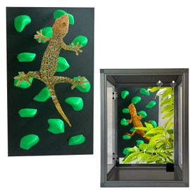 Okueejur Rock Climbing Wall for Bearded Dragons Climbing Rock Wall Grips for Bearded Dragons Tank Accessories Reptiles Toy Rock Wall Holds (Green)