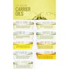 Feelia - Organic Moringa Oil - Cold Pressed, Moisturizing, Rich